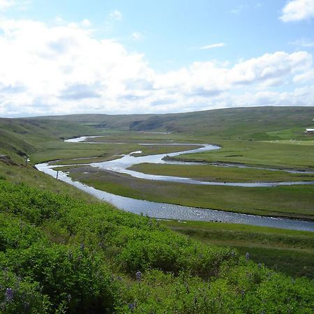 Daeli Guesthouse Víðidalstunga Bagian luar foto