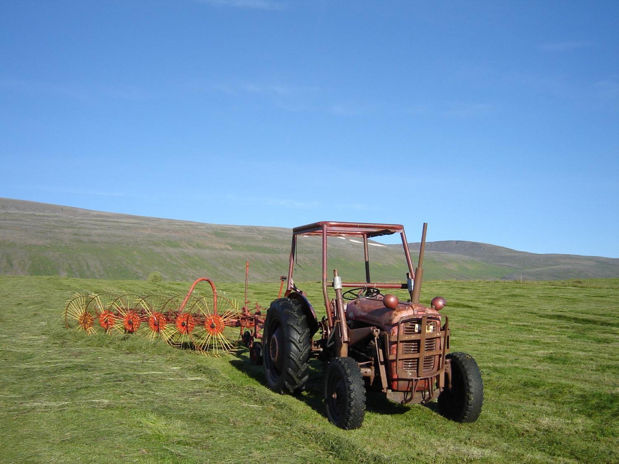 Daeli Guesthouse Víðidalstunga Bagian luar foto